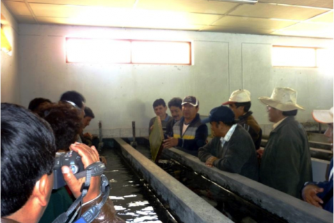 Proyecto Construcción del Centro de Producción de Alevinos del Instituto Superior Tecnológico Público de Chalhuahuacho - Cotabambas, Apurímac