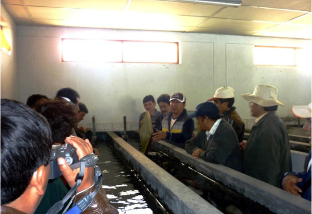 Proyecto Construcción del Centro de Producción de Alevinos del Instituto Superior Tecnológico Público de Chalhuahuacho - Cotabambas, Apurímac